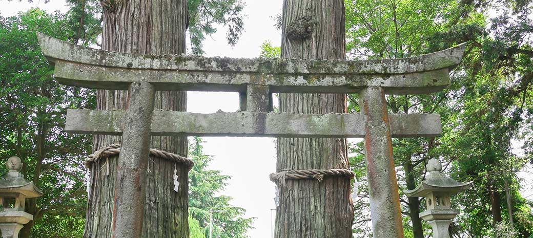 八幡朝見神社